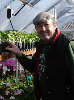 Roger Butler at work in his greenhouse